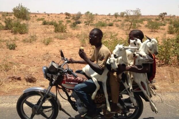 image of typical transport in African rural areas