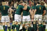 Image of the Springboks