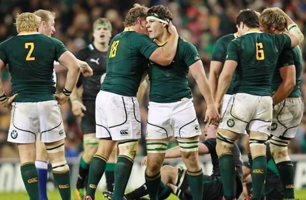 Image of the Springboks