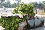 Image of an overloaded farm junk