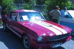 Image of Shelby Mustang